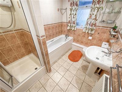 Picture 16